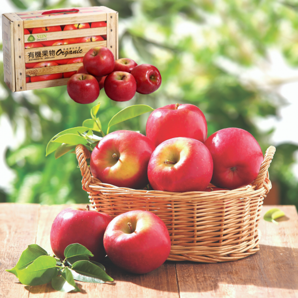 美國頂級AAA有機富士蘋果禮盒[6顆裝][9顆裝]【鮮紅甜脆．一盒免運】